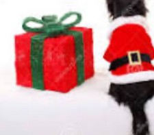 JSTHHTT Weihnachtskostüm Für Hunde & Katzen - Elchkostüm Rot Für Haustiere