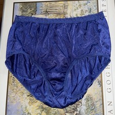 Vintage Hanes Nylon Panties Large 7