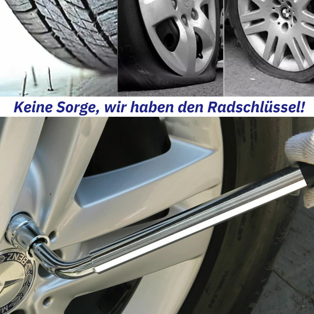 Bild 8 von 12