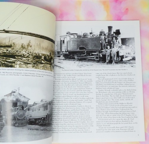 The Logging Mining & Industrial Annual 2007, From Finescale Railroader, Reinberg - Picture 7 of 14