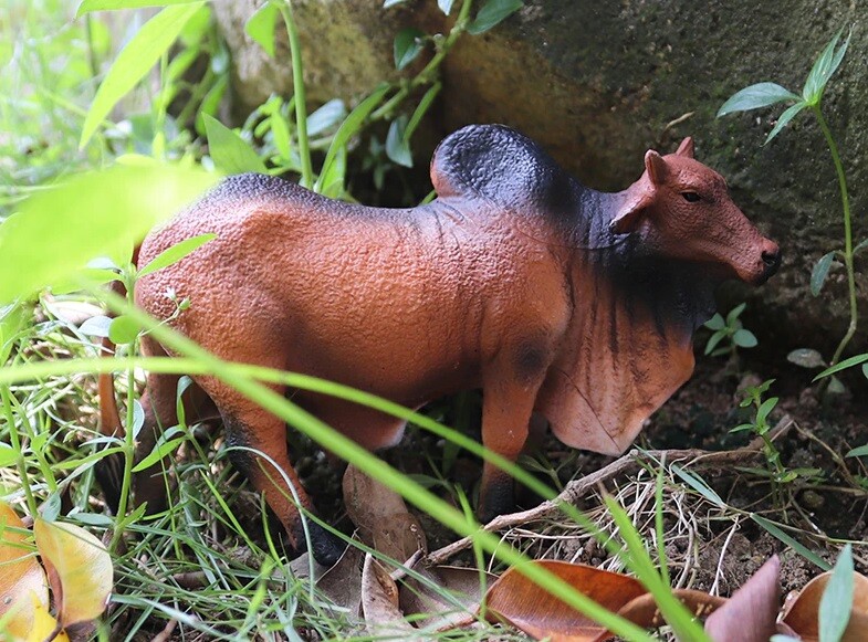 boro×borofactory　Theanimal　オブジェ 2pcs Zebu Cattle Bull Ox Animal Toy PVC Action Figure Kids