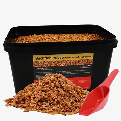 5 Liter Bachflohkrebse Koifutter Koi Gammarus Vogel Reptilien im Eimer +Schaufel
