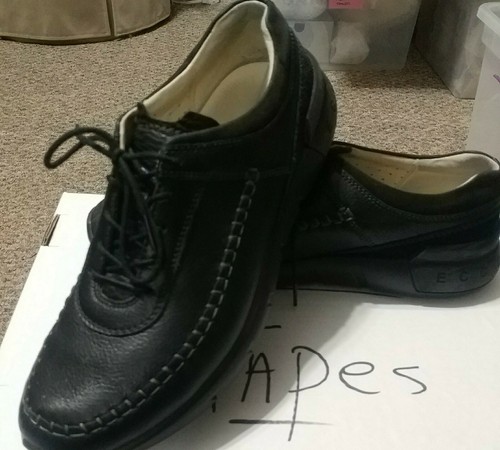 ecco cross oxford