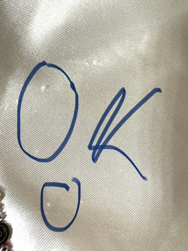 Girls Pirate Halloween Costume DRESS ONLY Hallow’s Eve Some Pilling Girls 6x - Image 4 of 4