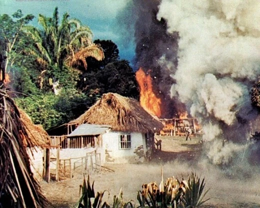 Haie bitten zu Tisch *DVD Abenteuerfilm Frederick Stafford + Jean Seberg * Pidax - Bild 3 von 4