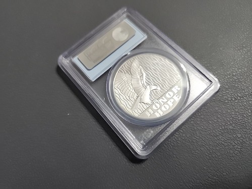 2011-W PCGS PR69DCAM 9-11 NATIONAL SERVICE MEDAL - US MINT 1 OZ 999 FINE SILVER - Bild 16 von 17