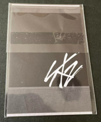 Stray Kids LEE KNOW Hi stay Official Polaroid Photocard Photo card