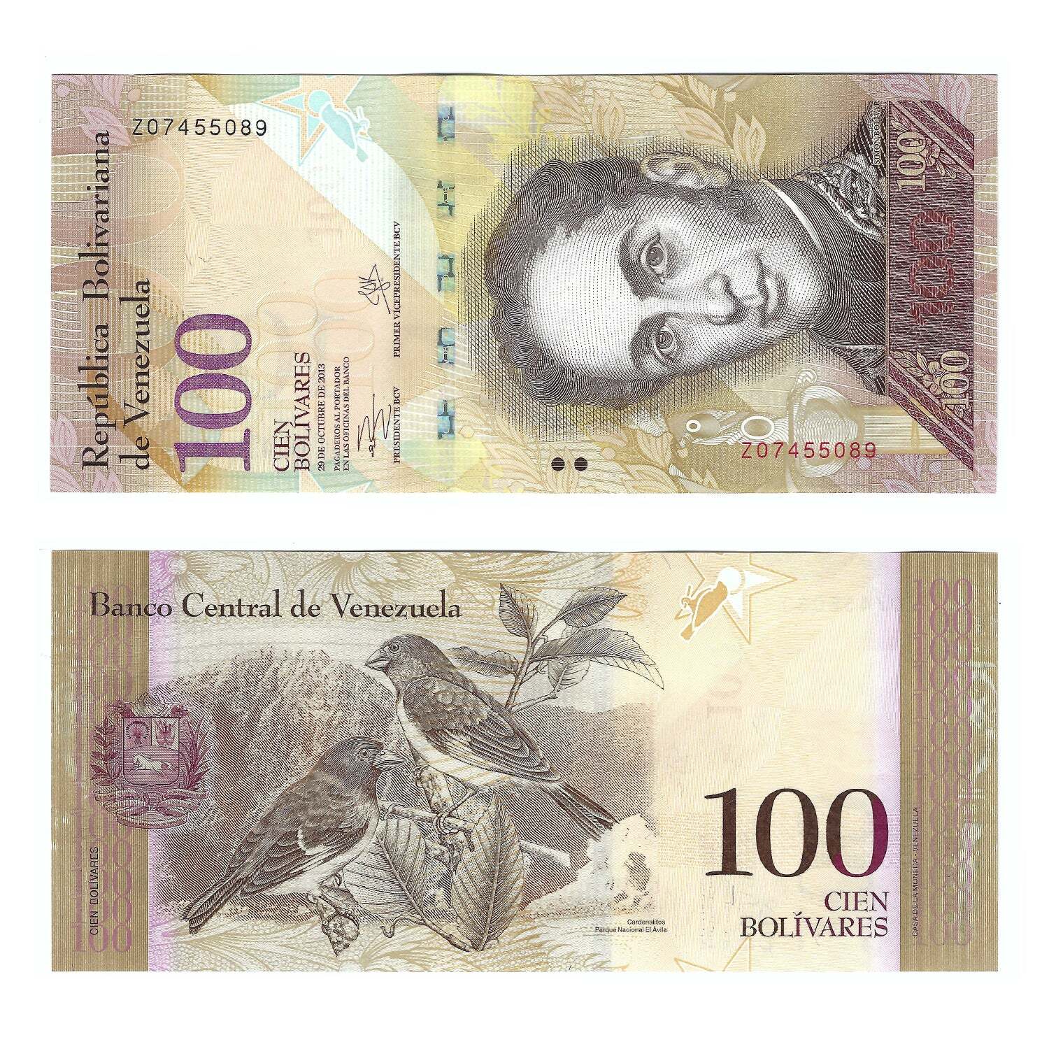 Imagen 8 de 16