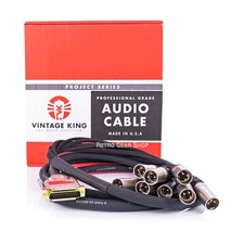 Vintage King Project Series db25 - XLRM 10ft Cable
