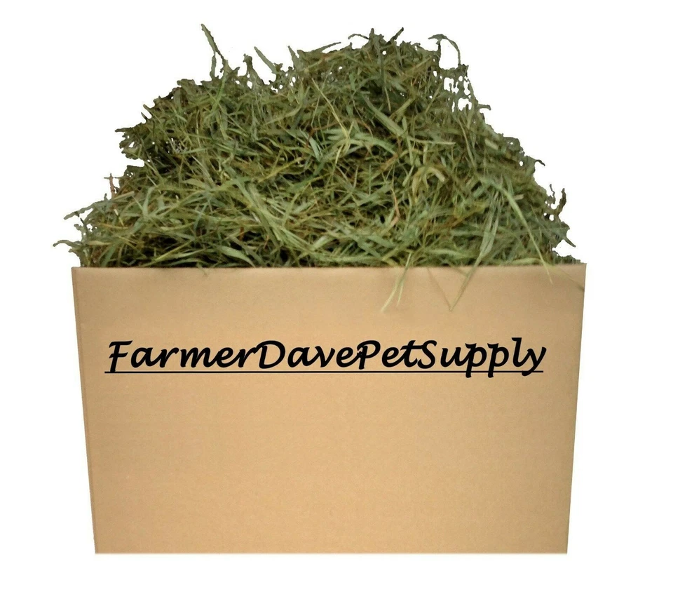 FARMERDAVEPETSUPPLY 10 lb PREM. 2nd Cut Timothy Hay-Bunny,Chinchilla,Guinea Pig