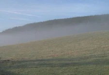 Photo 6x4 Mynd Scrubs Bedstone Forestry Commission woodland on Bucknell H c2007