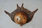 Bild 5 von 6