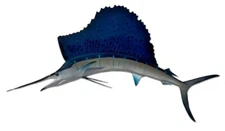58" Sailfish Half Mount Fish Fish Replica - Quick production