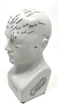 White Medium Porcelain Crackle Phrenology Head Mr L. N. Fowler Inspired Gift