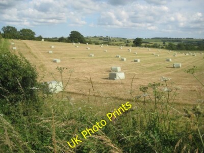 Photo 6x4 Lower Hyde Heath Warren/SY8591 Southern tip of Philliols Heath c2009