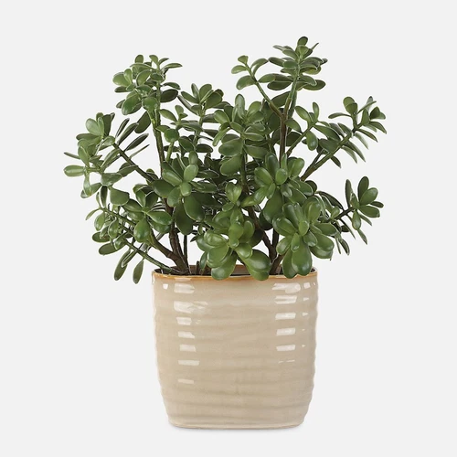 Uttermost Crassula Jade Accent Plant, Tan - 60226 - Picture 1 of 1