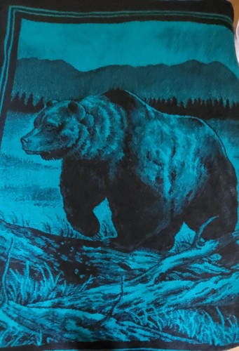 San Marcos Large Blanket Grizzly Bear Mexico