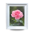 Bild 11 von 12