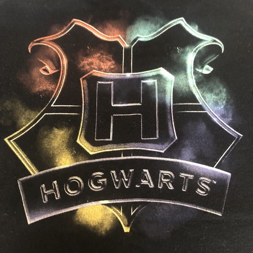 Iconic Harry Potter Character Hogwarts Design Black T Shirt Size 14 Boys - Picture 2 of 7
