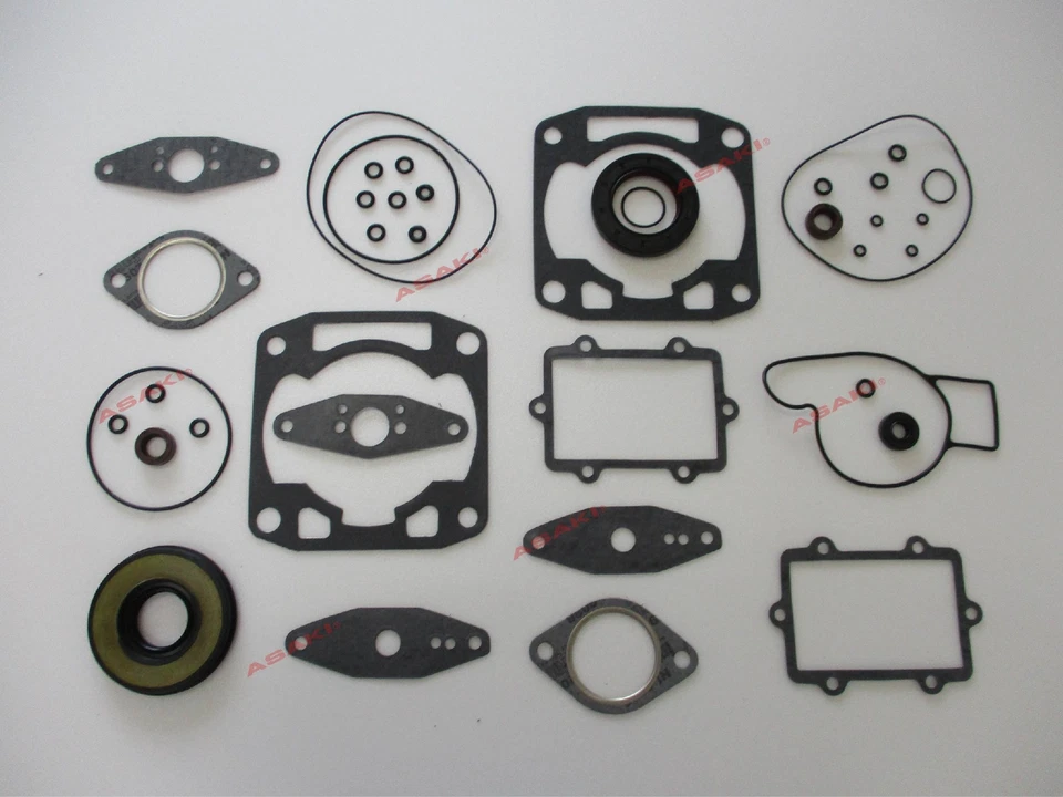 Kit de juntas completo para moto de nieve Arctic Cat Firecat 500, F5 EFI 09-711276 Foto 4 de 4