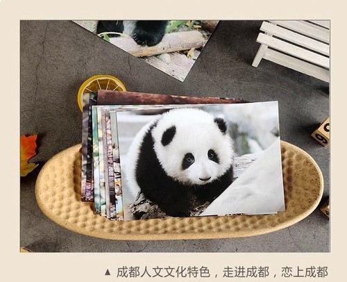 Cartoon Giant Panda Postcard Set of 12 Chengdu Tourism Souvenir Gifts - Picture 11 of 12