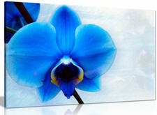 Blue Orchid Flower Canvas Wall Art Picture Print