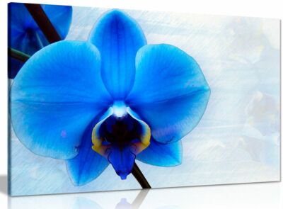 Blue Orchid Flower Canvas Wall Art Picture Print | eBay.de