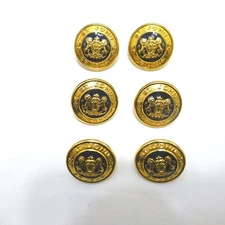 6 Large St John lion button set lot 13/16" black enamel gold metal