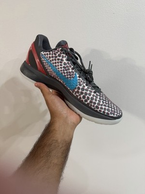 Nike Kobe 6 Protro IQ3902-002 Gray Red Blue Snake Print Men's