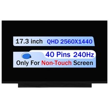 MNH301CA3-1 For Asus 18010-17370000 LCD Non-Touch Screen Display QHD 40Pin 240Hz