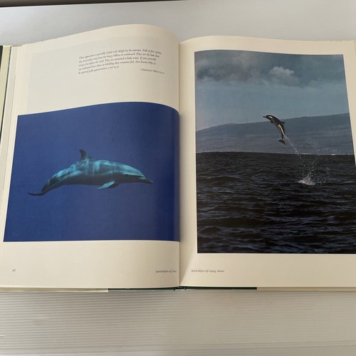 Wake Of The Whale by Brower Kenneth Hard Cover Wildlife Photography - Picture 6 of 13