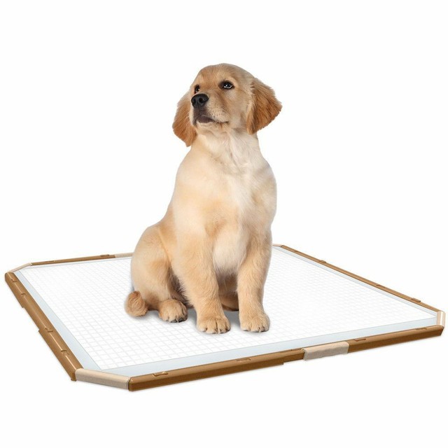 Simple Solution Dog Puppy Training Pad Holder Pee Wee Toilet House for