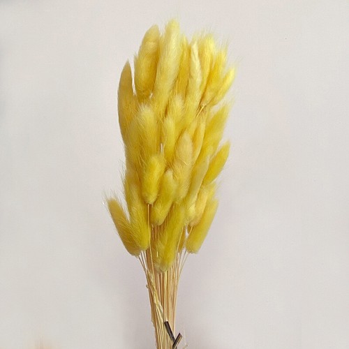 50pcs Nature Bunny Rabbit Tail Grass Dried Flower Bouquet Wedding Party Decor - Picture 42 of 44
