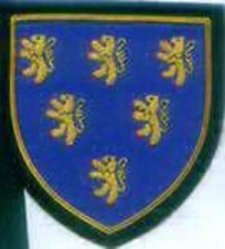 Kingdom King Medieval Royal House Plantagenet Dynasty Count Anjou Lion Normandy