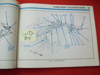 Step-by-Step Instructions