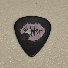 KID ROCK Jason Krause Signature Guitar Pick 2024 Tour TWISTED BROWN TRUCKER BAND