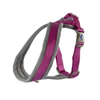 Hundegeschirr Ancol Viva Gepolstert GrößE S 36-42 Cm Violett Nylon