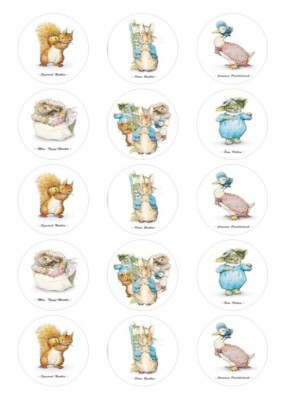Peter Rabbit Wafer 15 Peter Rabbit Edible Wafer Paper Cupcake Toppers Cake PRE-CUT | eBay ...