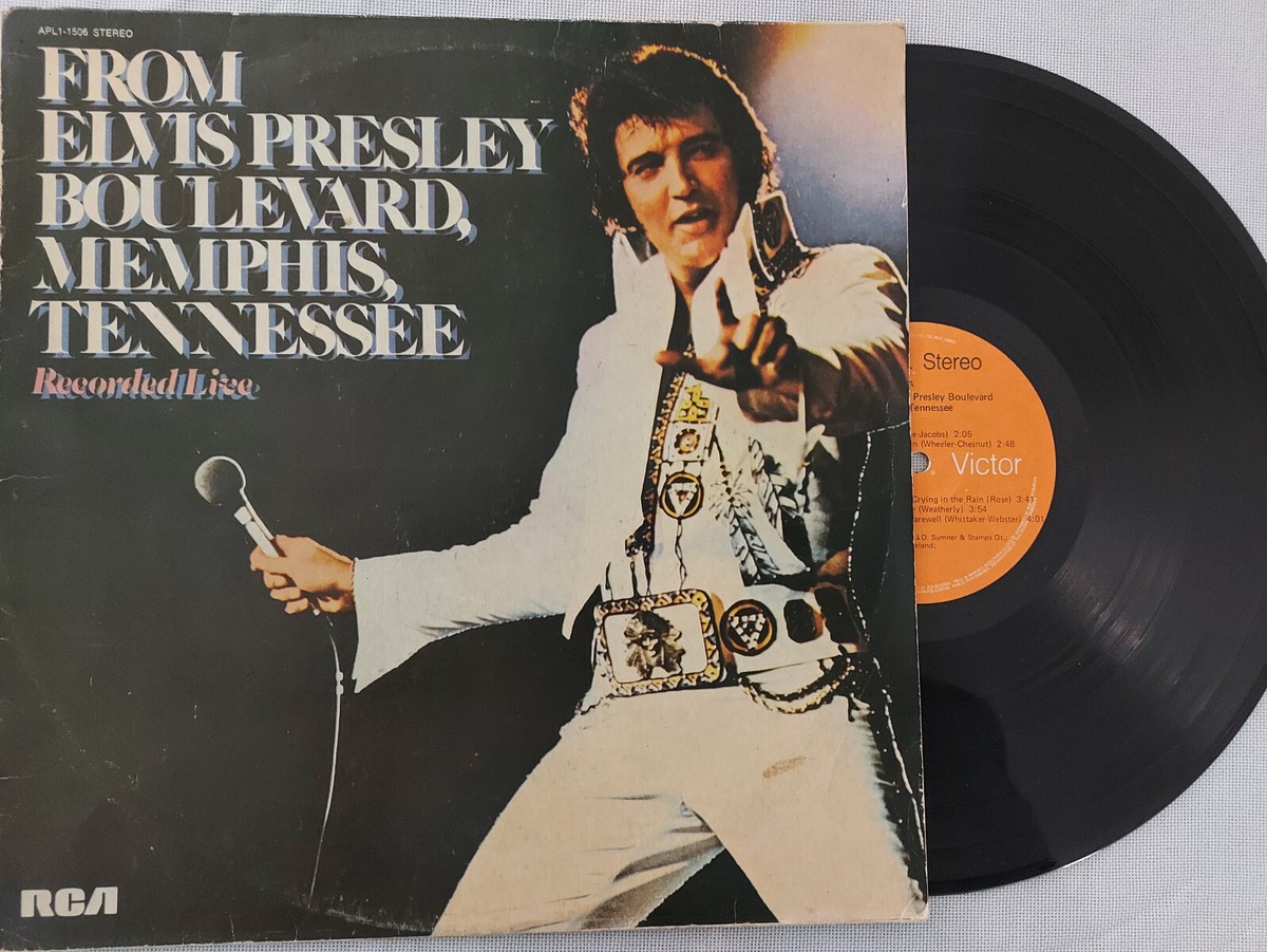 VINYL LP 12