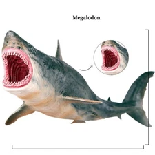 Megalodon Meg Model Figure Jaws The Great White Shark Ocean Animal Toy Collector