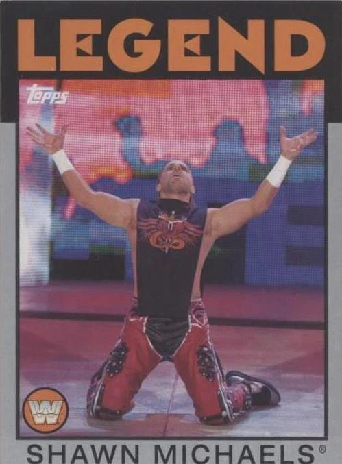 Divas Championship Silver