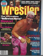 The Wrestler February 1991 - Fake Sting