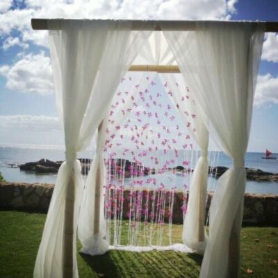 120'' Wide (10ft Wide) Ivory Sheer Voile Chiffon Fabric - draping events weddings
