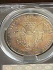1987 & 1988 MS Details CAC GRADED MASSIVE TONED SILVER EAGLES Reds Blues — photo 7