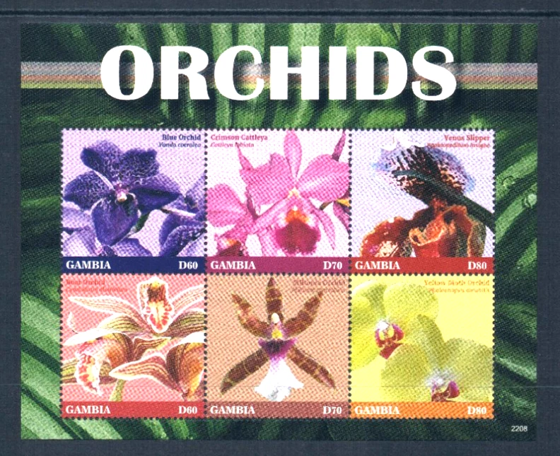 $24.75 Scott Value - 2022 GAMBIA Flores Orquídeas 2 s/s African CV MNH NH UMM Foto 4 de 4
