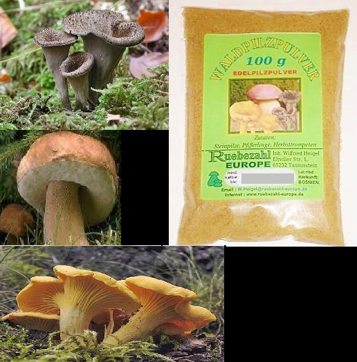 Setas HONTAS DE PIEDRA hongos en polvo hongos del bosque especias en polvo 3 variedades MEZCLA 100g 1A aroma