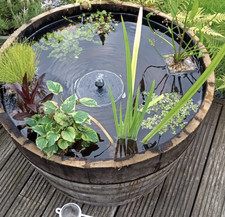 LARGE WATERTIGHT OAK HALF WHISKY BARREL - FOR WILDLIFE MINI POND - 72CM X 45CM