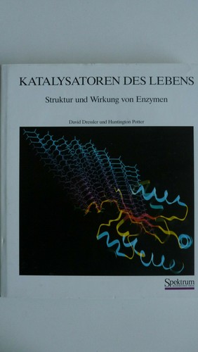 Katalysatoren des Lebens - Struktur und Wirkung von Enzymen