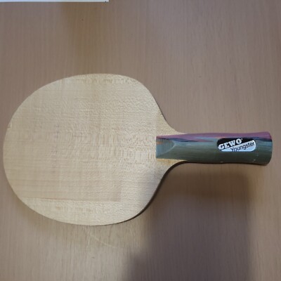 GEWO YOUNGSTER Tischtennisholz 
