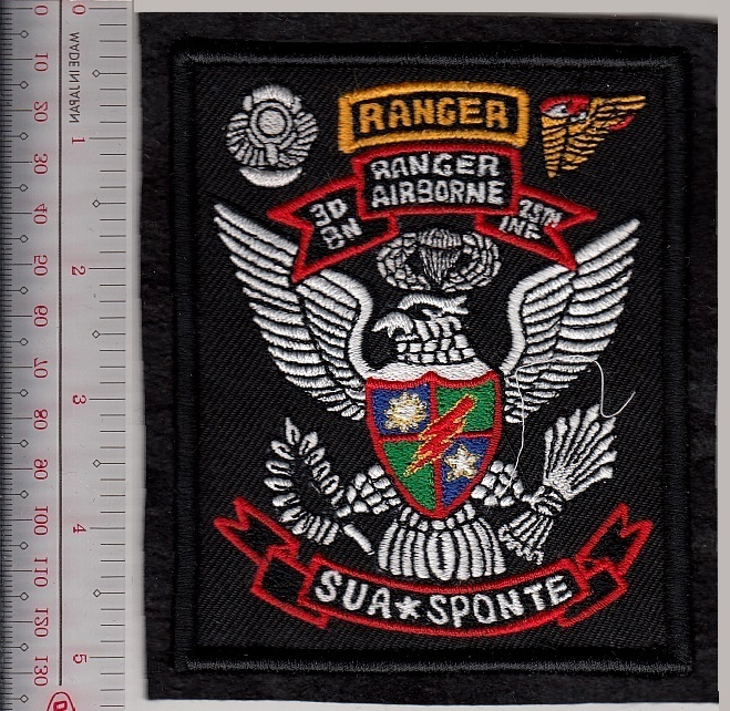 Army Ranger Pathfinder